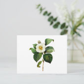 Weiße Kamelie durch Pierre Joseph Redoute Postkarte (Stehend Vorderseite)