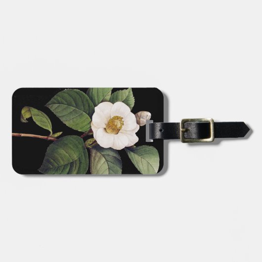 Weiße Kamelie Gepäckanhänger (Vorderseite horizontal)