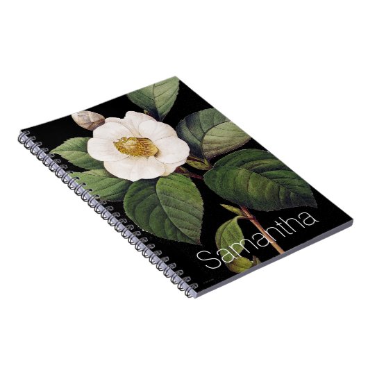 Weiße Kamelie Notizblock (Rechte Seite)