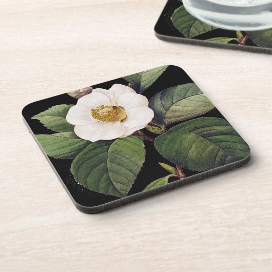 Weiße Kamelie Untersetzer (Linke Seite)