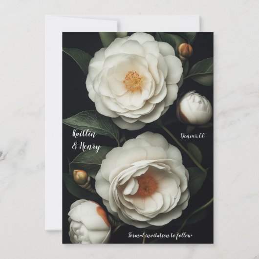 Weiße Kamelien auf dunklem Hintergrund (Rückseite)