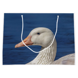 Weiße kanadische Gänse Große Geschenktüte
