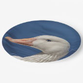 Weiße kanadische Gänse Pappteller (Schrägansicht)