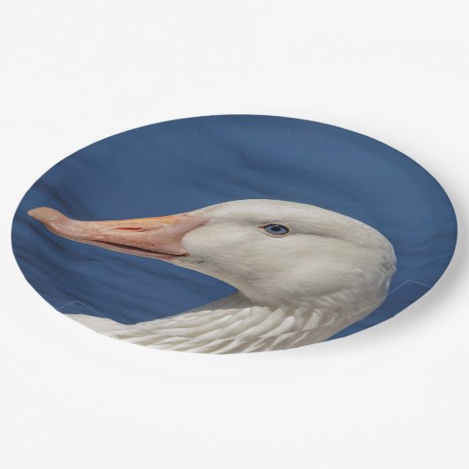 Weiße kanadische Gänse Pappteller (Schrägansicht)