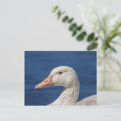 Weiße kanadische Gänse Postkarte (Stehend Vorderseite)