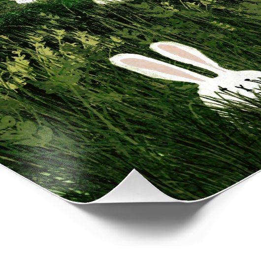 Weiße Kaninchen Poster (Ecke)