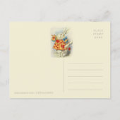 Weiße Kaninchenherald John Tenniel CC1125 Märchen Postkarte (Rückseite)