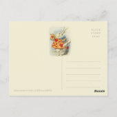 Weiße Kaninchenherald John Tenniel CC1125 Märchen Postkarte (Rückseite)