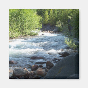 Weiße Kappen Magnet