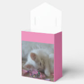 Weiße Kätzchen Gefallenheitsboxen Geschenkschachtel (Geöffnet)
