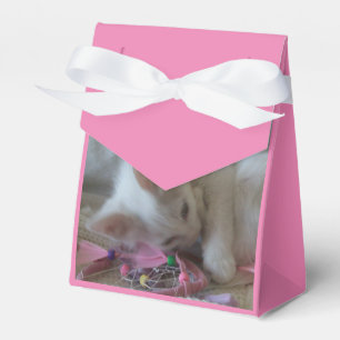 Weiße Kätzchen Gefallenheitsboxen Geschenkschachtel