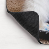 Weiße Kätzchen in Paint Tray Mousepad (Ecke)