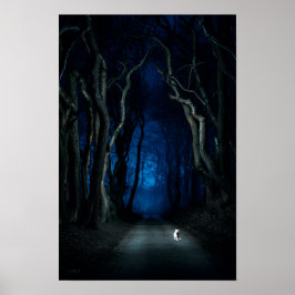 Weiße Katze auf Canopy Road am Night Poster Art Pr