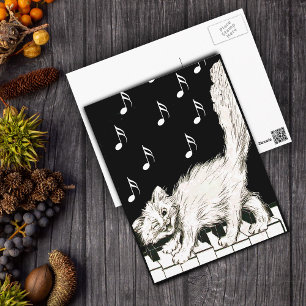 Weiße Katze auf Klaviertasten Postkarte