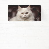 Weiße Katze Banner (InSitu)