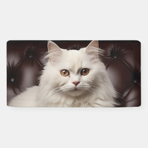 Weiße Katze Banner