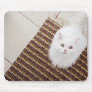 Weiße Katze, die auf Matte sitzt Mousepad