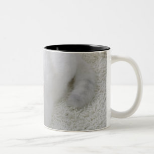 Weiße Katze, die oben schaut Zweifarbige Tasse