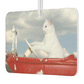 Weiße Katze fährt Auto Autolufterfrischer (Links)