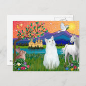 Weiße Katze - Fantasieland Postkarte (Vorne/Hinten)