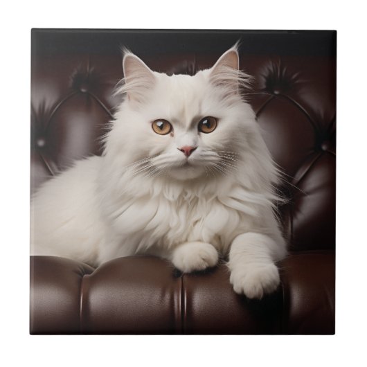 Weiße Katze Fliese (Vorderseite)