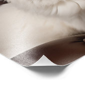 Weiße Katze Fotodruck (Ecke)