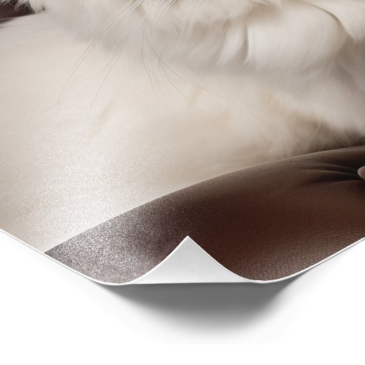 Weiße Katze Fotodruck (Ecke)