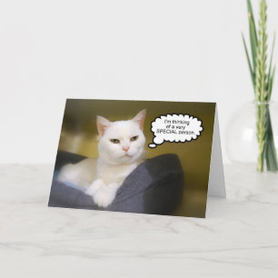 Weiße Katze Geburtstagskarte Spaß Card Karte