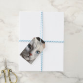 Weiße Katze Geschenkanhänger (Mit Garn)