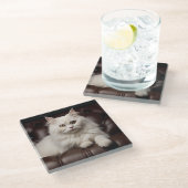 Weiße Katze Glasuntersetzer (Schrägansicht)