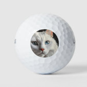 Weiße Katze Golfball (Vorderseite)