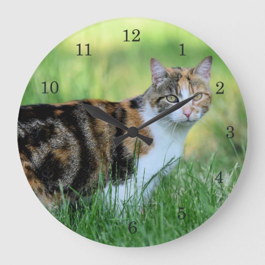 Weiße Katze Große Wanduhr (Vorderseite)