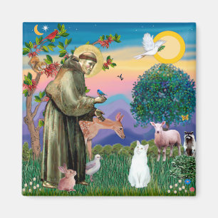 Weiße Katze - Heiliger Franziskus Magnet