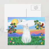 Weiße Katze - Helles Leben Postkarte (Vorne/Hinten)