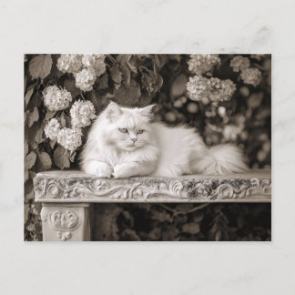 Weiße Katze im Blumengarten Postkarte