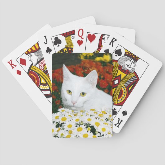 Weiße Katze im Herbst Blume Spielkarten (Rückseite)