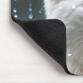 Weiße Katze im Regenfenster Mousepad (Ecke)