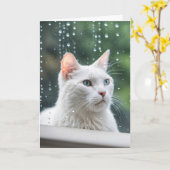 Weiße Katze im Regenfenster wird bald gut Karte (Gelbe Blume)
