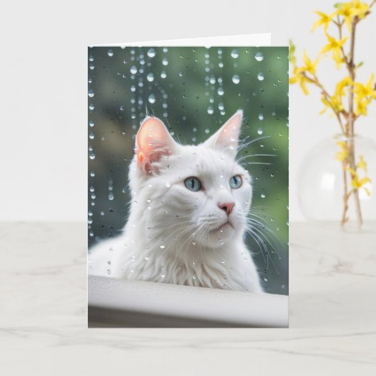 Weiße Katze im Regenfenster wird bald gut Karte (Gelbe Blume)