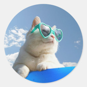 Weiße Katze im Urlaub Runder Aufkleber