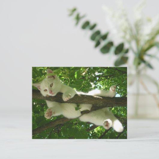 Weiße Katze in Baum Postkarte (Stehend Vorderseite)