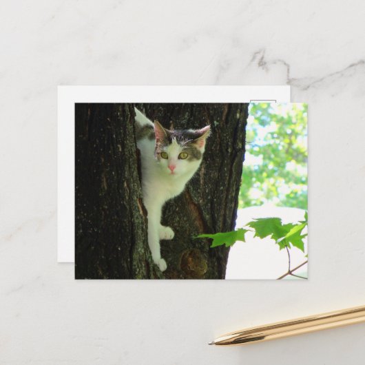 Weiße Katze in Bäumen Postkarte (Vorderseite/Rückseite Beispiel)