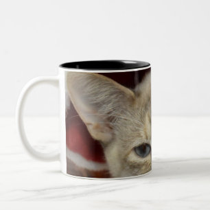 Weiße Katze in roter Weihnachtsmütze Kaffeetasse