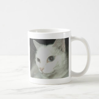 Weiße Katze Kaffeetasse