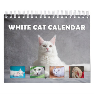 Weiße Katze Kalender