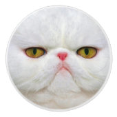 Weiße Katze Keramikknauf (Vorderseite)