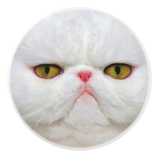 Weiße Katze Keramikknauf (Vorderseite)