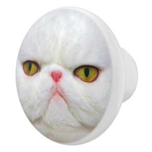 Weiße Katze Keramikknauf