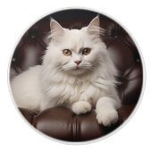 Weiße Katze Keramikknauf (Vorderseite)