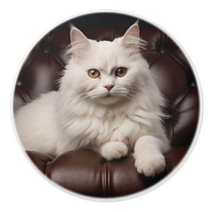 Weiße Katze Keramikknauf
